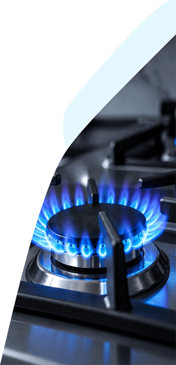 Professional Gas Fitting